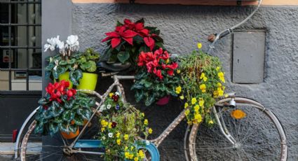 DIY: ideas para reciclar y mejorar tu bicicleta vieja