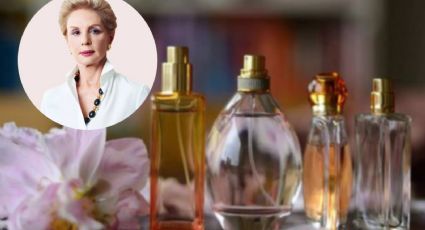 Fragancia exclusiva: conoce el perfume más intenso y lujoso de Carolina Herrera