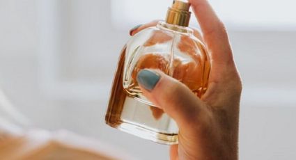 Notas olfativas: diferencias esenciales entre perfume, colonia y loción
