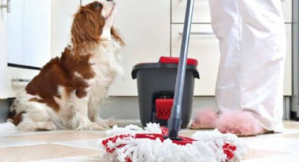 Consejos de limpieza para amantes de mascotas: mantén tu hogar limpio y fresco con estos trucos