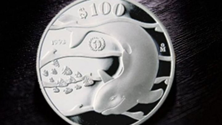Conoce la moneda de plata con la Vaquita Marina: su valor puede llegar hasta los $14 mil