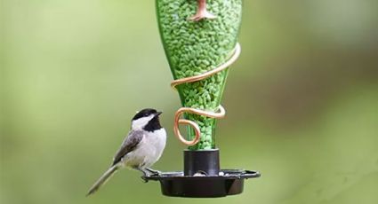 Recicla un pedazo de alambre y una botella para hacer un bebedero de pájaros en tu jardín