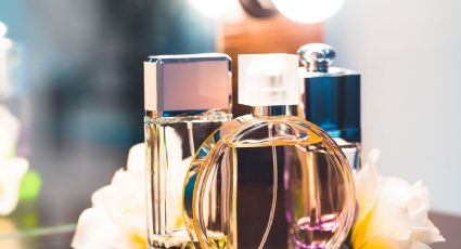 Prepárate para recibir cumplidos: los perfumes de moda para esta Primavera-Verano 2024