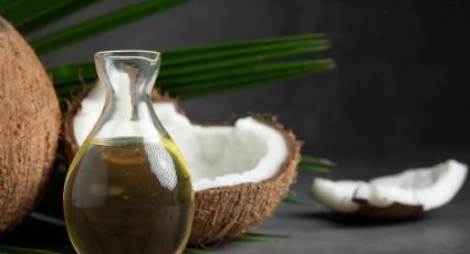 Todo sobre el aceite de coco: beneficios, usos y propiedades para la salud