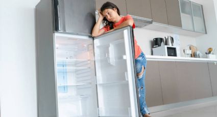 Tu refrigerador como nuevo en tiempo récord: el truco definitivo para una limpieza exprés