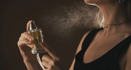 Renueva tu colección: perfumes frescos y económicos para esta primavera