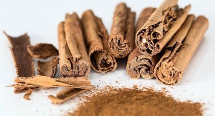 Propiedades desinfectantes de las ramas de canela: una alternativa natural para tu hogar