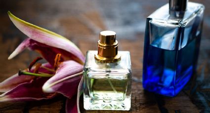Perfumes refrescantes y limpios: la mejor opción para cualquier momento del día