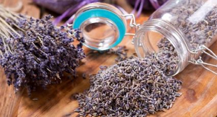 Haz que tu hogar huela a lavanda: guía para secar y decorar como un experto en diseño