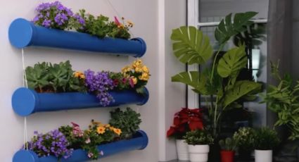 Antes de tirar los tubos PVC que tienes en el patio, mira estos jardines verticales fáciles de hacer