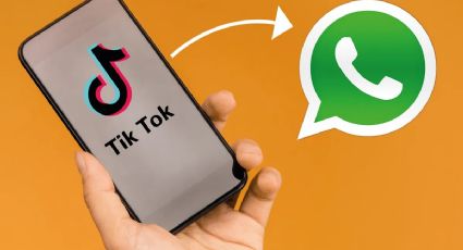 Aprende a compartir videos de TikTok en WhatsApp como un experto