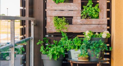 Balcones pequeños con jardines verticales: aprende a poner un toque verde a la decoración