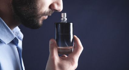 Renueva tus sentidos: explora los perfumes más frescos y revitalizantes con notas de pepino