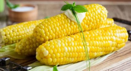 Platos deliciosos con elote: recetas sencillas para tus comidas