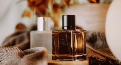 Marcas de perfumes masculinos: un recorrido por la élite de la fragancia