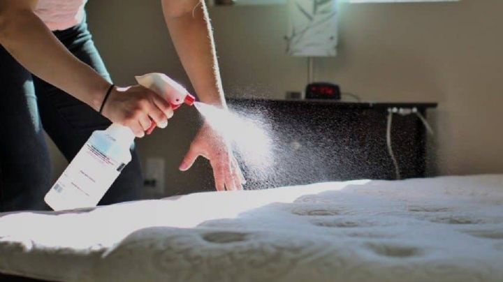 Cómo limpiar y proteger tu colchón: consejos esenciales para un sueño reparador