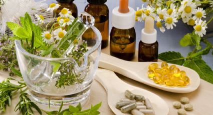 Remedios naturales ancestrales: plantas que siguen siendo útiles para la salud