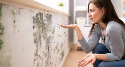 Elimina las manchas de humedad de las paredes con este sencillo truco de limpieza