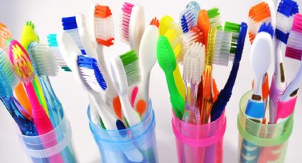 Antes de tirar tu viejo cepillo de dientes conoce 5 formas de reciclaje que te harán cambiar de idea