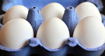 No llevó más de un rato convertir los cartones de huevos en macetas para mis plantas favoritas