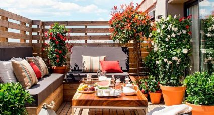 Renueva tu vieja terraza con pocos pesos como un experto en decoración