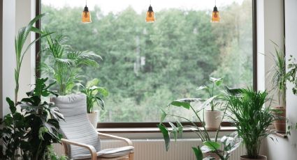 Revitaliza tu espacio: decoración inspirada en la naturaleza para combatir el estrés