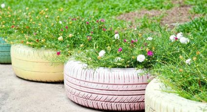 Vas a amar esta maceta hecha con una llanta usada: proyecto de reciclaje facilísimo para el jardín