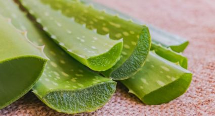 Conoce cómo usar el aloe vera, el aliado perfecto para tu ropa blanca: no hay truco pero sí limpieza