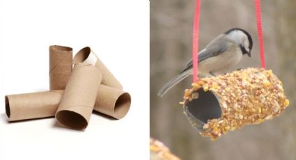 Un sencillo rollo de papel higiénico puede convertirse en un comedero de pájaros: ¡Manos a la obra!