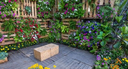 Construye tu propio jardín vertical como un experto en jardinería: 5 beneficios que no te querrás perder