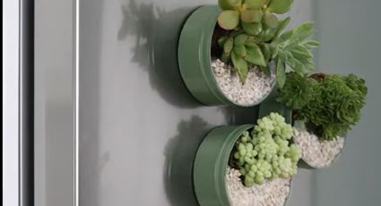 Deja de tirar los potes de crema vacíos, conviértelos en esta idea fácil para un jardín vertical