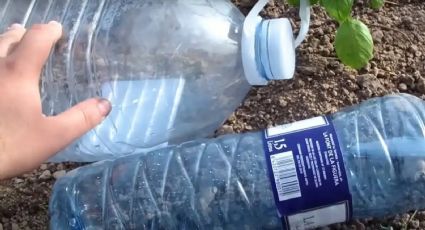 No necesitas más que una botella de plástico para fabricar un sistema de riego por goteo