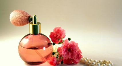 Aromas veraniegos: sumérgete en la elegancia de los perfumes frescos y florales para el buen clima