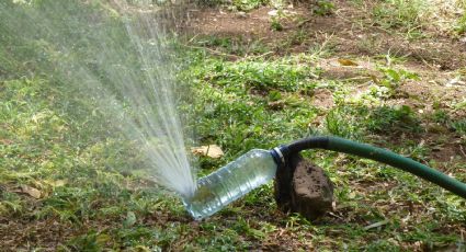 Con una botella de plástico puedes hacer un aspersor DIY para mantener bien regado tu jardín