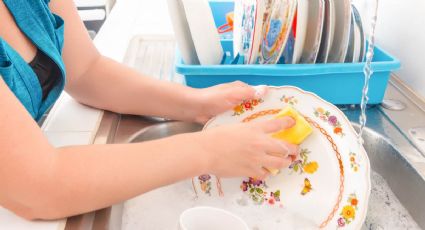 Si algo acumula moho en la cocina, es el escurridor de platos: trucazo para limpiarlo de manera fácil