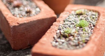 Con unos ladrillos de barro que ya no usas haz estas macetas para suculentas DIY para tu jardín