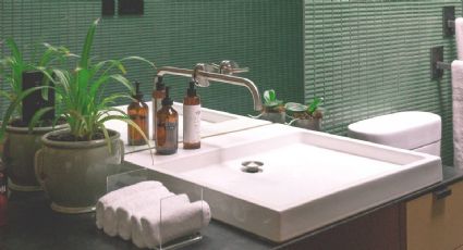 No sufras si tu baño no tiene luz natural: las plantas que puedes incorporar a tu decoración