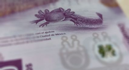 ¿Tienes este billete del ajolote de 50 pesos? Podría hacerte rico