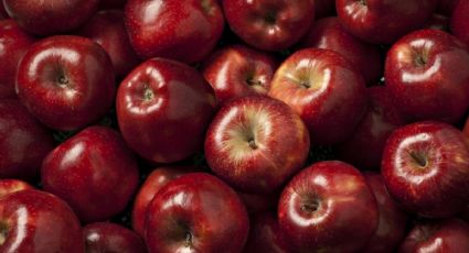 La ciencia detrás de lavar las manzanas para evitar infecciones, según expertos de Harvard