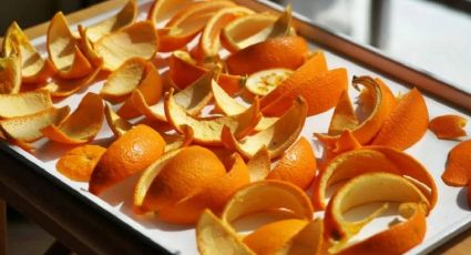 No sigas botando las cáscaras de naranja, recíclalas para que tu jardín florezca como ninguno