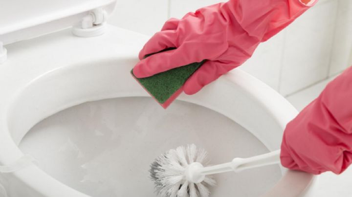 Atento a la revisión de los expertos fontaneros sobre el ingrediente básico para limpiar el inodoro