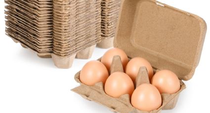 Con un simple cartón de huevos haz este increíble comedero de pájaros DIY