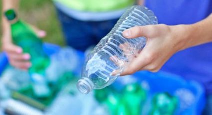 Con botellas de plástico, convierte tu cocina en un mini huerto gracias a estas macetas autorregables DIY