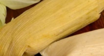 Tentado por unos tamales de elote dulces, suaves y esponjosos: la receta fácil que se hace en licuadora