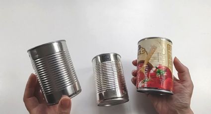 Nunca una lata de conserva ha dado tanto: esta maceta DIY reciclada se hizo viral de tan bonita