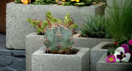 Con unos viejos bloques de cemento que te sobraron haz este proyecto DIY para el jardín