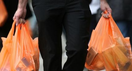 Los jardineros tienen la solución para tus plantas: aprovecha las bolsas plásticas de la compra