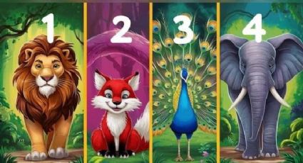 Elige uno de estos 4 animales y descubre si eres una persona tímida con este increíble test