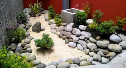 Las plantas ideales para un jardín con poca humedad: conoce la propuesta que une diseño y jardinería