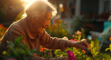 La nueva tendencia que fusiona psicología y las plantas: conoce los jardines terapéuticos